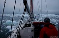 groenland -44